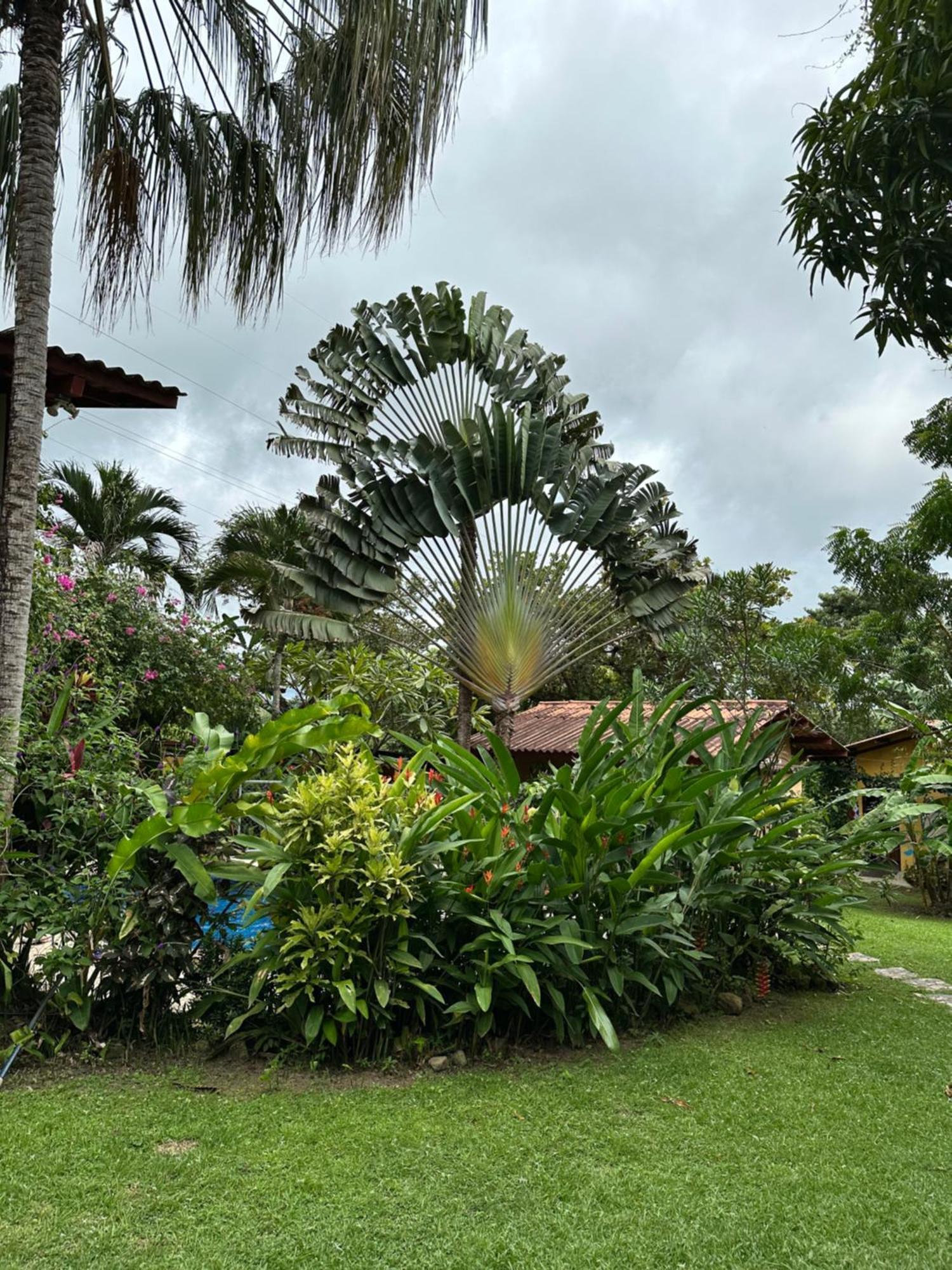 A Piece Of Paradise San Carlos Exterior foto