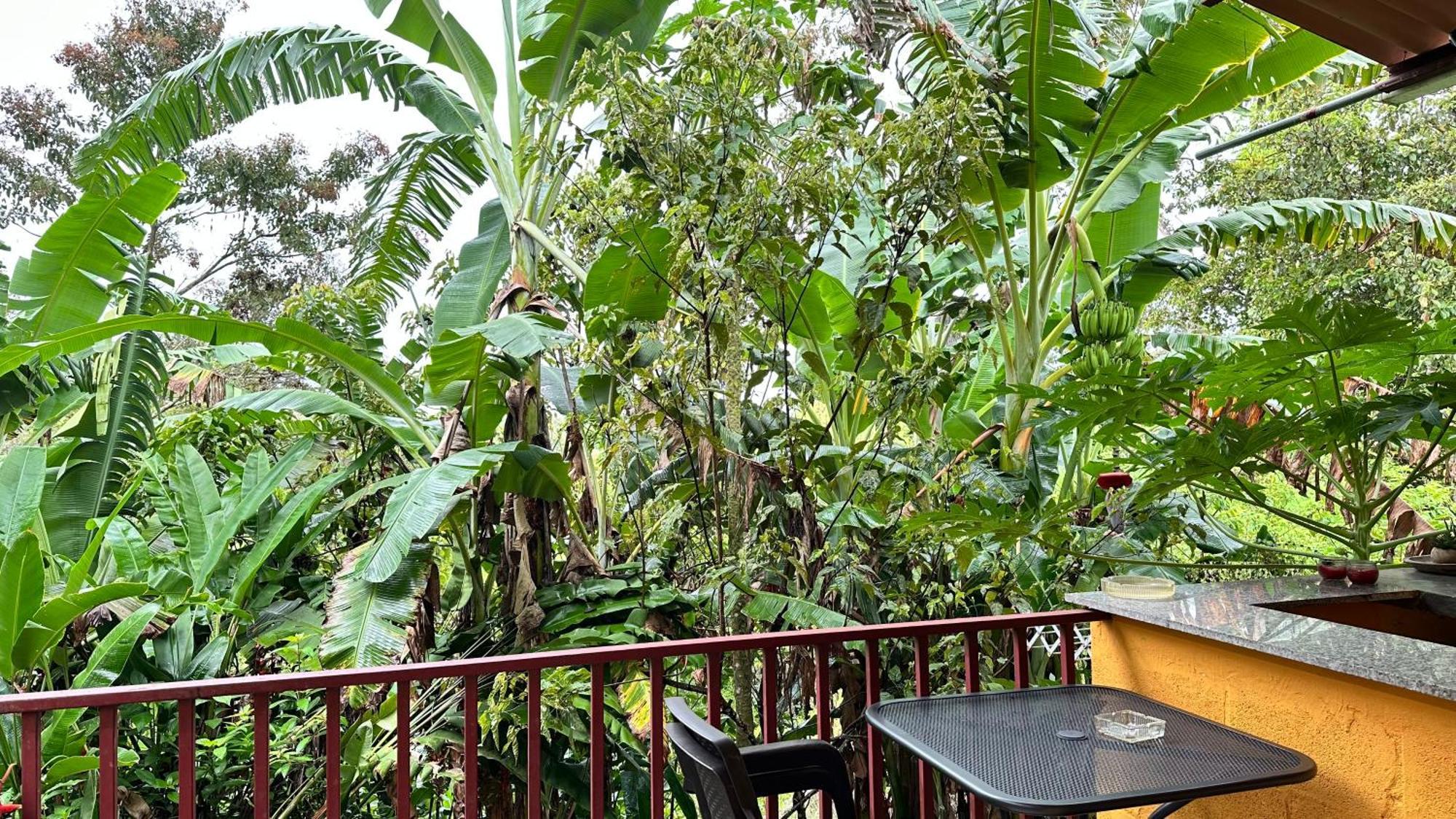 A Piece Of Paradise San Carlos Exterior foto